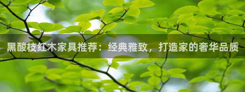 安信esp 12k：黑酸枝红木家具推荐：经典雅致，打造家的奢