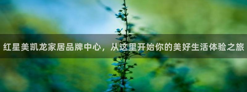 安信12账号