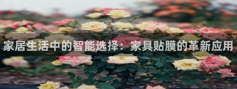 安信esp 12k