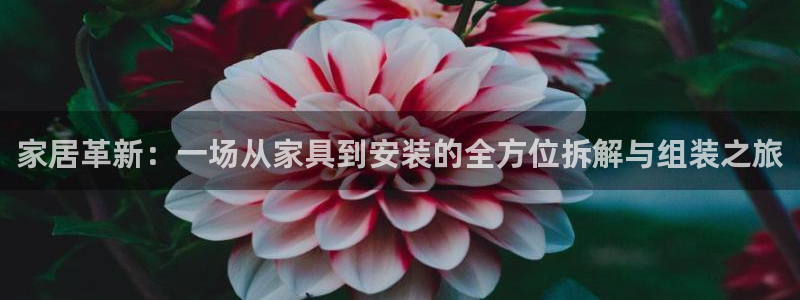 安信12官网