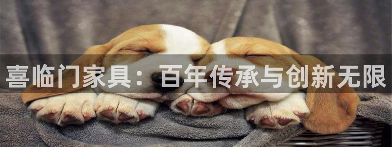 下载安信12
