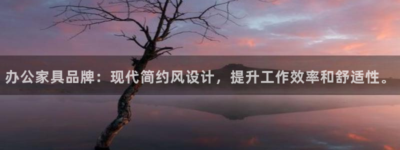 安信12月金股