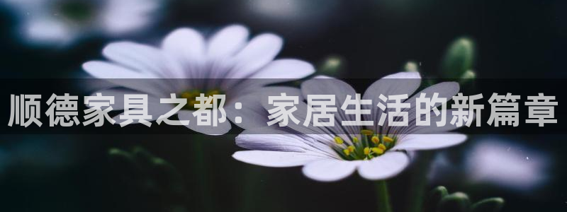 安信可f12