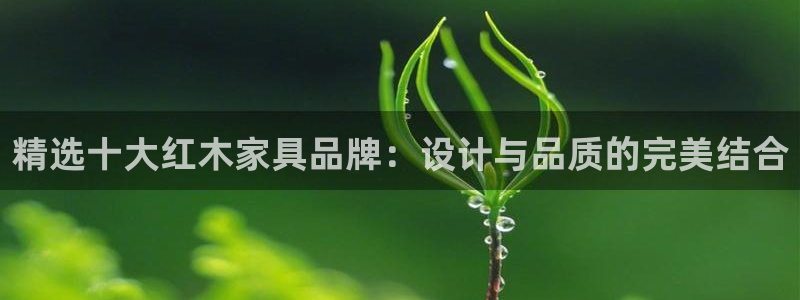 安信可esp-12