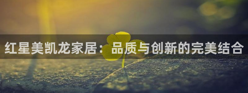 安信招商rk金12手12指jc