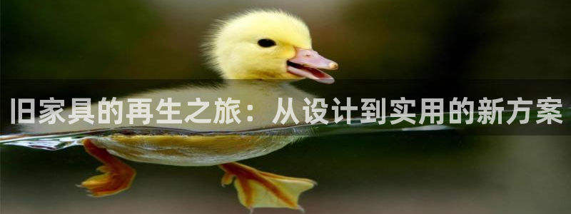 安信12是正轨网站吗