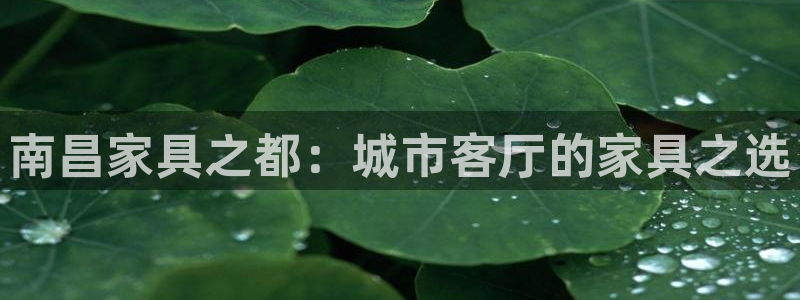 安信可12f
