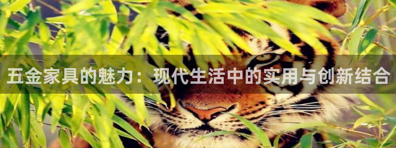 安信12想开户