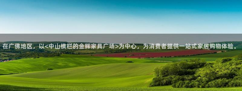 安信12招商：在广佛地区，以<中山横栏的金辉家具广场>为中心