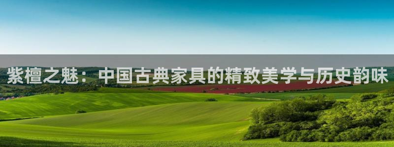安立信T12测评