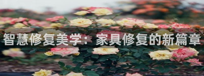 安信12官方网站查询