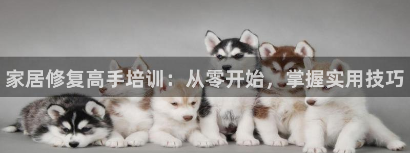 安信12娱乐代理