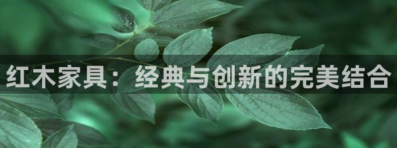 如何注销安信12软件