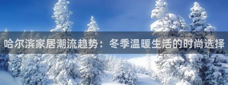 安信可12f12e