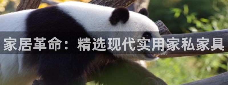 安信12如何开代理