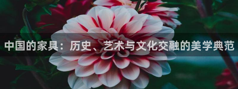 安信12专用挂机：中国的家具：历史、艺术与文化交融的美学典范